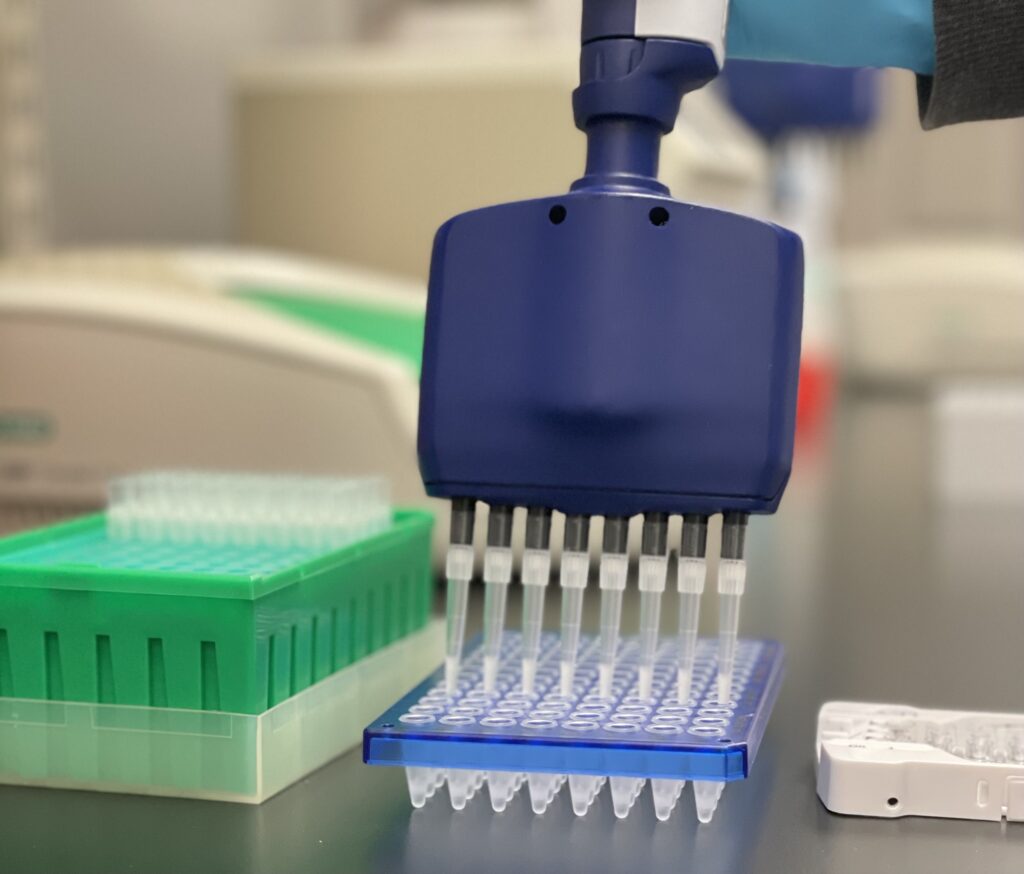 Close-up of a laboratory multi-channel pipette dispensing liquid into a 96-well PCR plate, with a green pipette tip box in the background. The image captures the precision tool in action, emphasizing its role in high-throughput sample processing, commonly used in molecular biology and environmental microbiology studies.